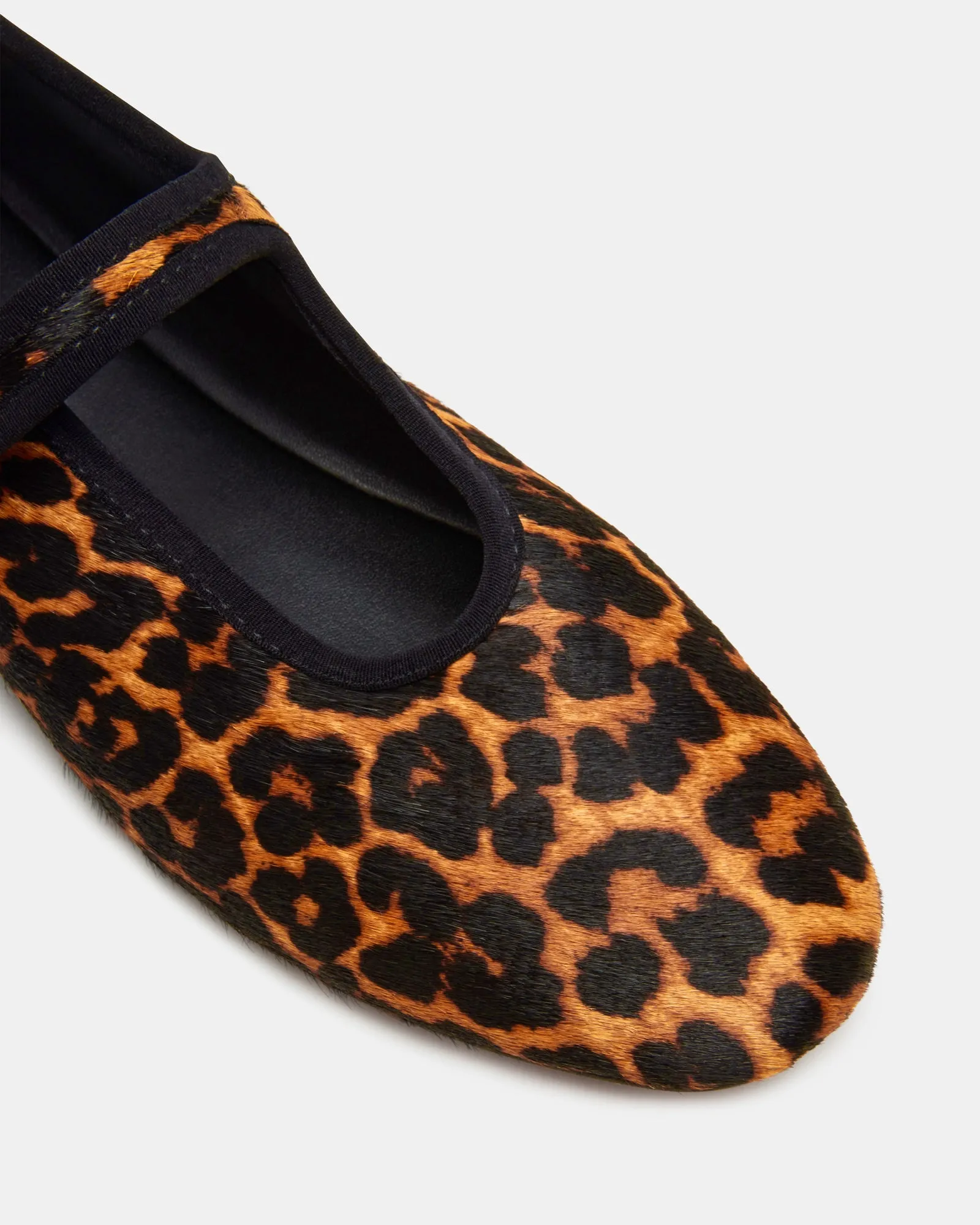 DREAMING LEOPARD - SM REBOOTED sold by Steve Madden product image thumbnail 4