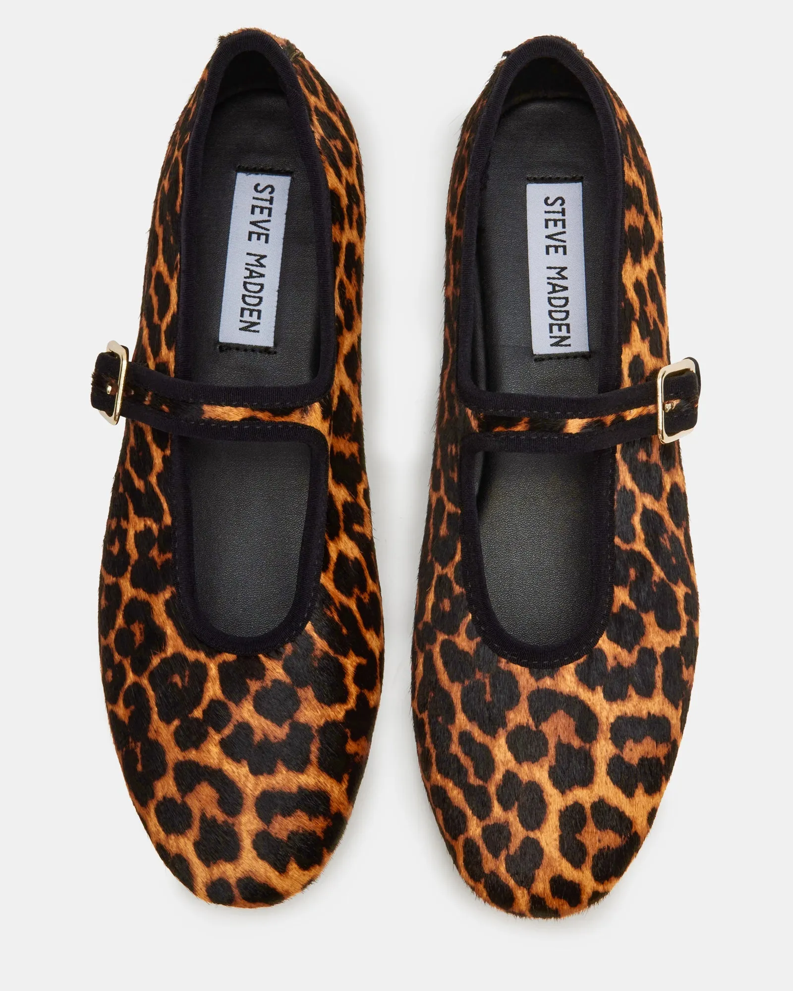DREAMING LEOPARD - SM REBOOTED sold by Steve Madden product image thumbnail 5