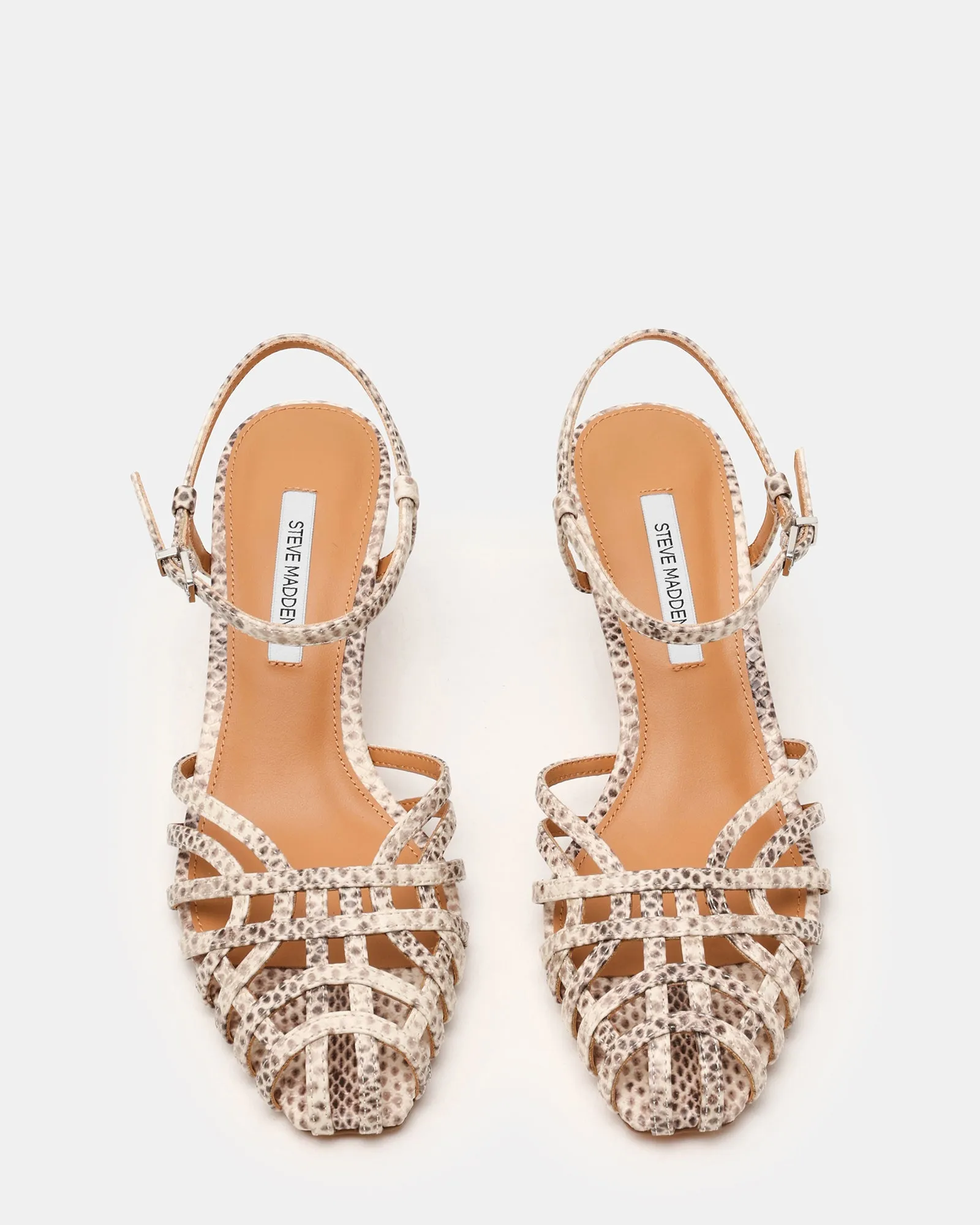 EDIN SNAKE sold by Steve Madden product image thumbnail 4