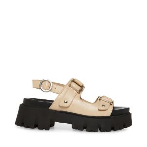 GARRICK KHAKI LEATHER sold by Steve Madden
