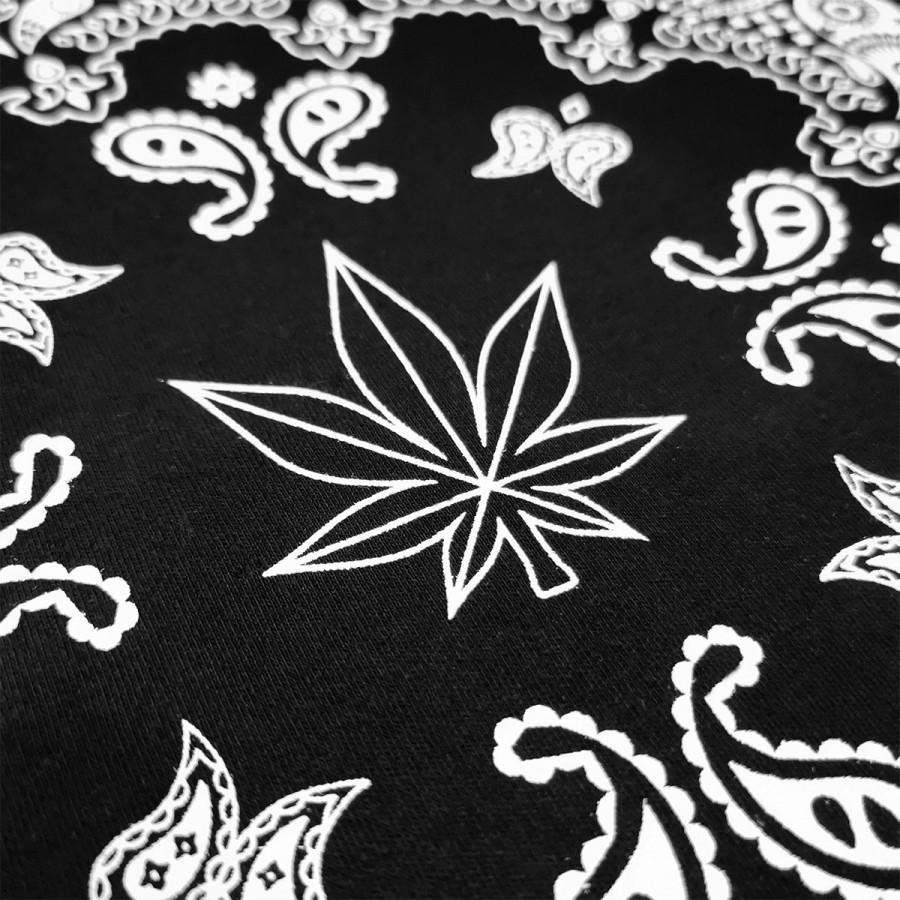 PARADISE GARDEN TSHIRT BLACK sold by Stone & Co. product image thumbnail 4