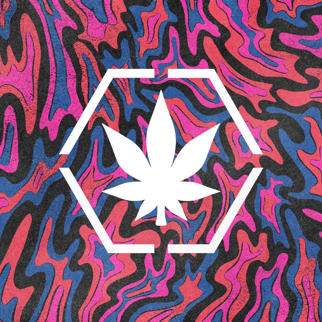 STONED & CO X FRAME OF MIND : SSOM BLACK sold by Stone & Co. product image thumbnail 3