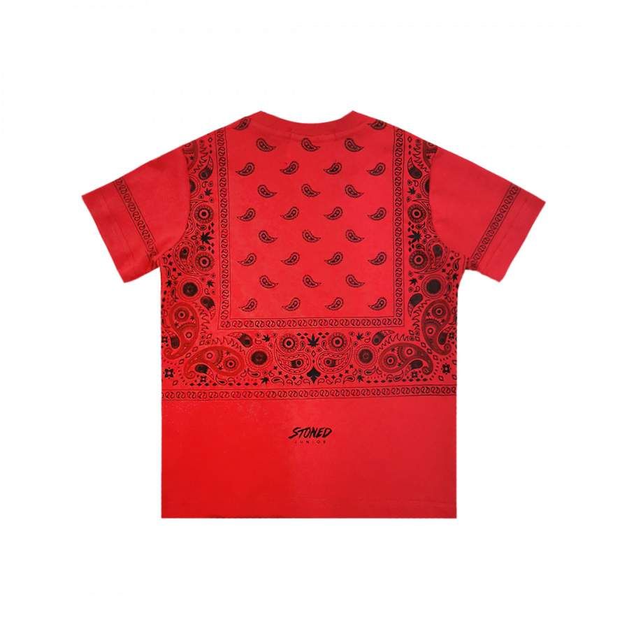 JUNIOR PARADISE TSHIRT RED sold by Stone & Co. product image thumbnail 3