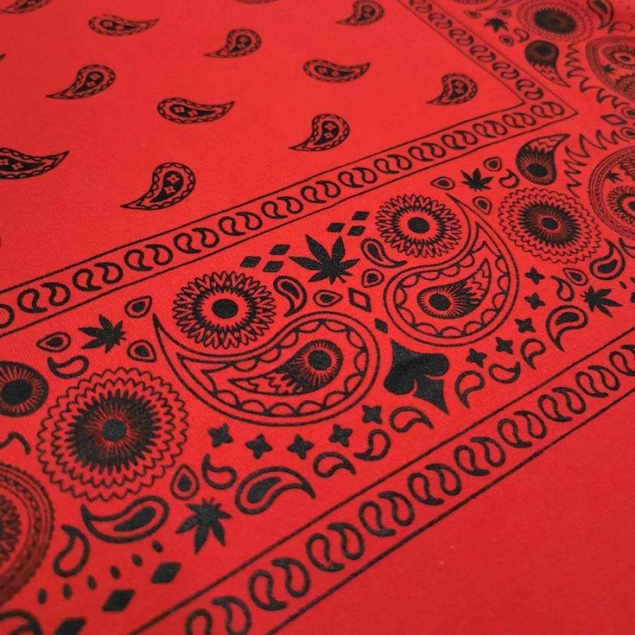 JUNIOR PARADISE TSHIRT RED sold by Stone & Co. product image thumbnail 2