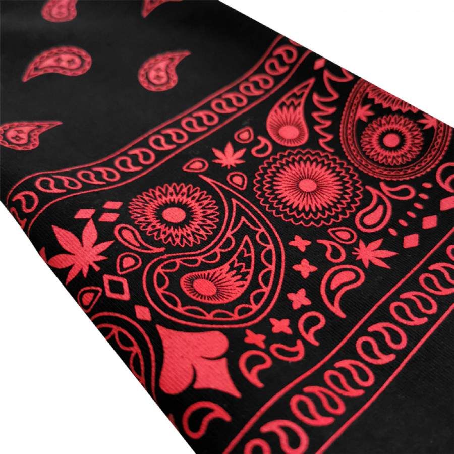 PARADISE WOMEN L/S CROP TOP BLACK sold by Stone & Co. product image thumbnail 3