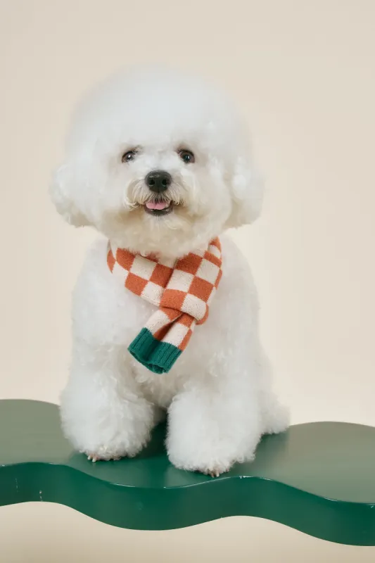 [STORETS X COSONNE] Knitted Pet Neck Scarf(for pet) sold by storets