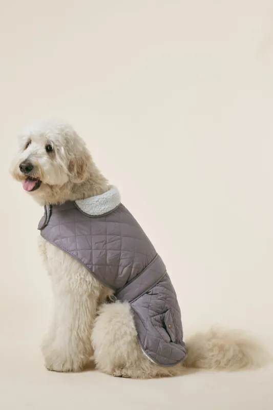 [COSONNE] Winter Quilting Coat(for pet) sold by storets