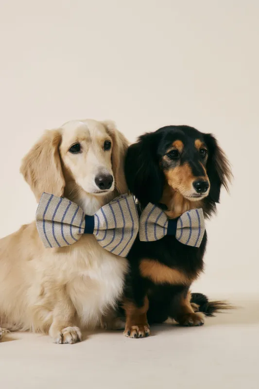 [COSONNE] Herringbone Pet Bowtie sold by storets