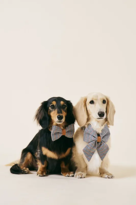 [COSONNE] Herringbone Pet Bowtie sold by storets