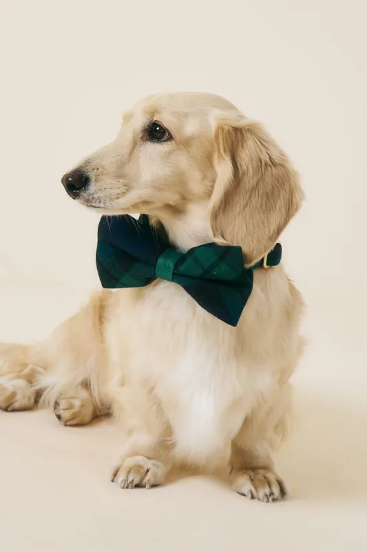 [COSONNE] Tartan Pet Bowtie sold by storets