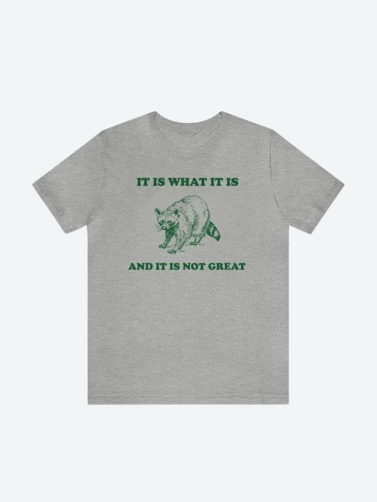 It Is What It Is Tee sold by Streetwear Society product image thumbnail 3