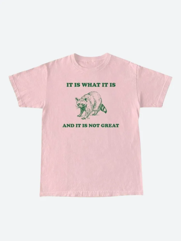 It Is What It Is Tee sold by Streetwear Society product image thumbnail 4
