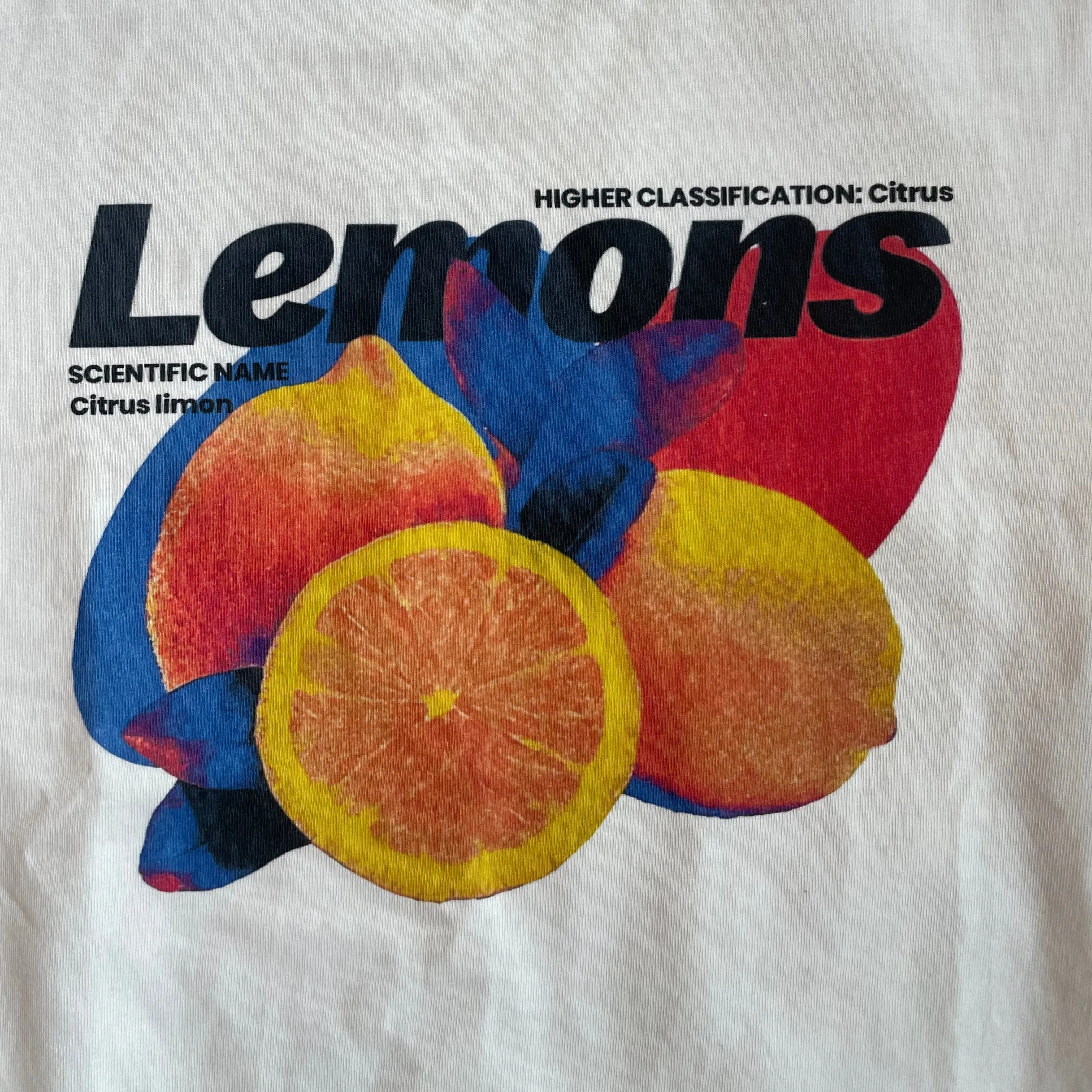 "Lemons" Y2K T-Shirt sold by Streetwear Society product image thumbnail 2