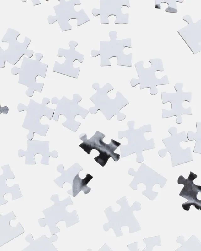 BIG MEATY PUZZLE | Parallel