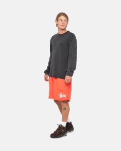 WATER SHORT BIG BASIC sold by Stussy