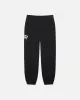 FLEECE PANT SPORT CRACKLE sold by Stussy