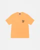 RASTA LION TEE PIGMENT DYED sold by Stussy