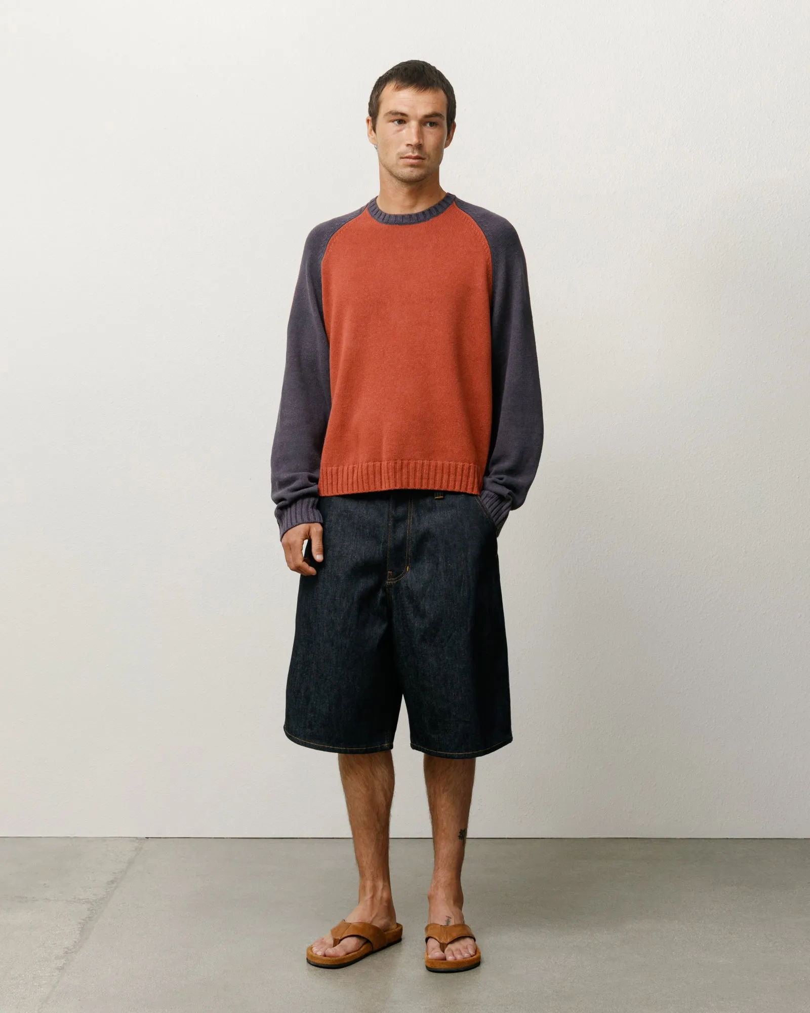 COLORBLOCKED RAGLAN KNIT CREW sold by Stussy