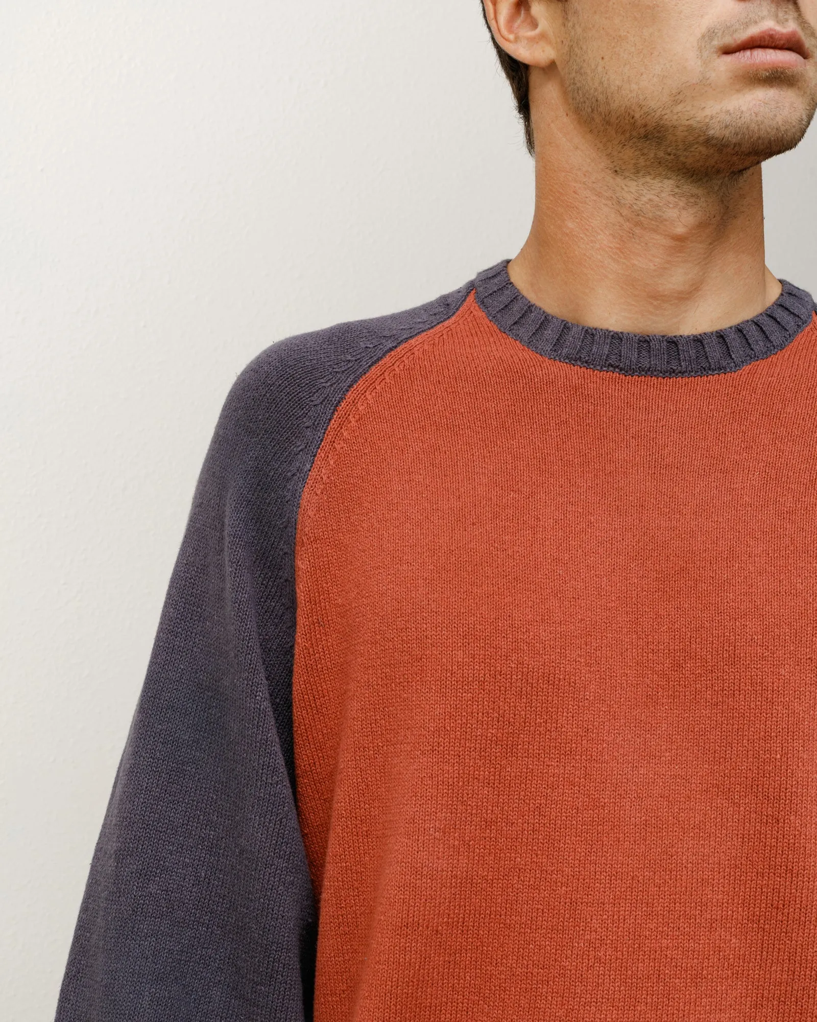 COLORBLOCKED RAGLAN KNIT CREW sold by Stussy product image thumbnail 2
