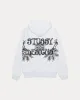 WES PALMS HOODIE sold by Stussy