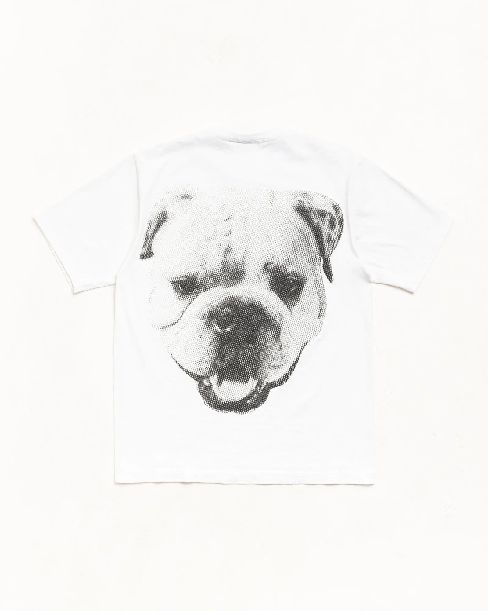 BIG DOG STONE WASHED TEE sold by Stussy product image thumbnail 2