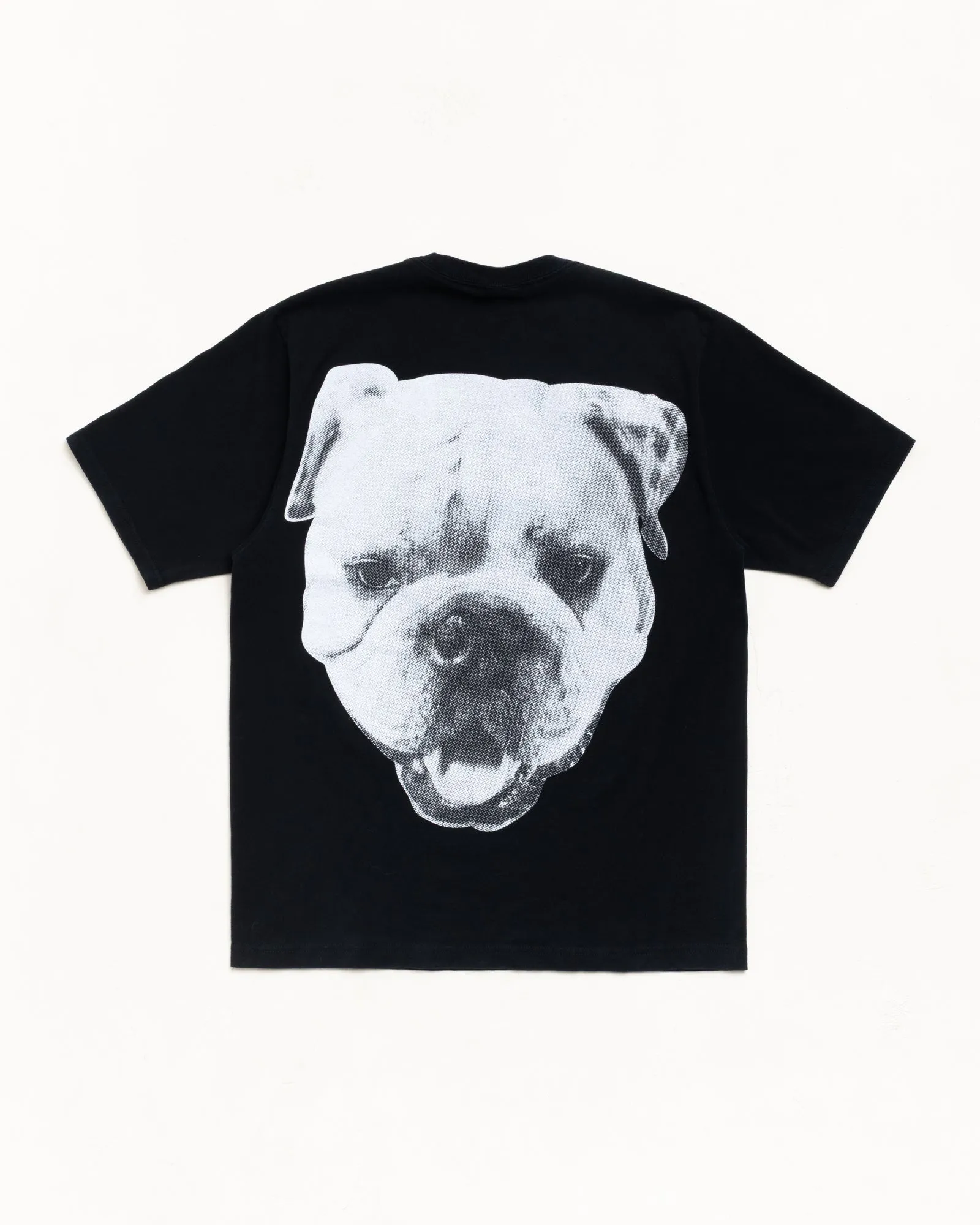 BIG DOG STONE WASHED TEE sold by Stussy product image thumbnail 2