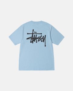 BASIC STÜSSY PIGMENT DYED TEE sold by Stussy