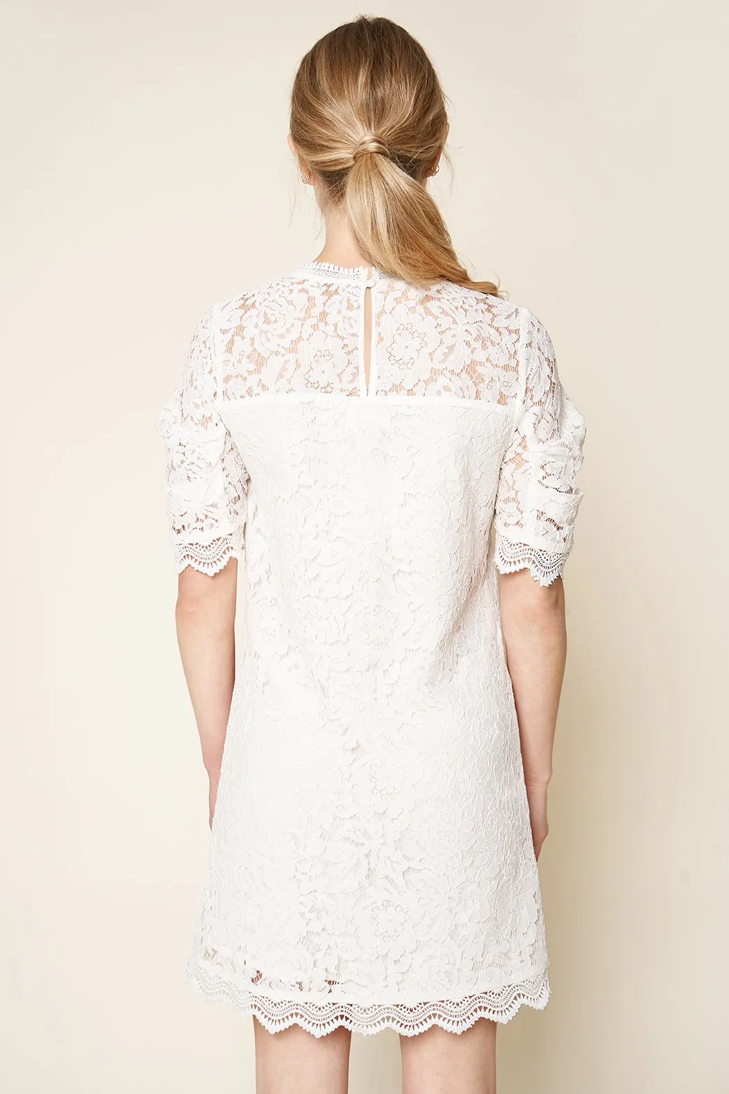 Night Moves Lace Shift Dress sold by Sugarlips product image thumbnail 2