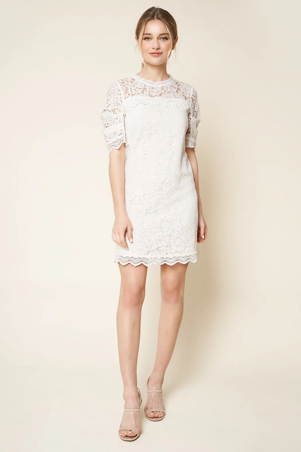 Night Moves Lace Shift Dress sold by Sugarlips product image thumbnail 3