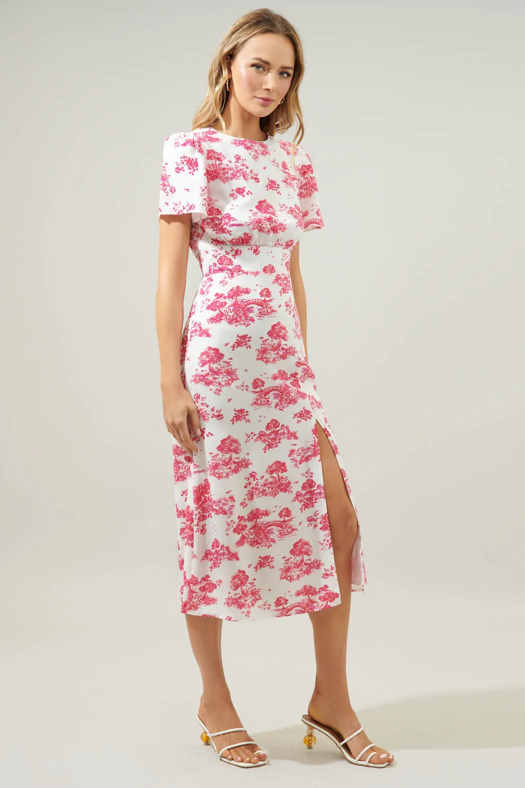 Ainsley Meadow Toile Bloom Midi Dress sold by Sugarlips product image thumbnail 3