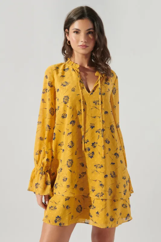 Dandelion Double Layer Trapeze Dress sold by Sugarlips