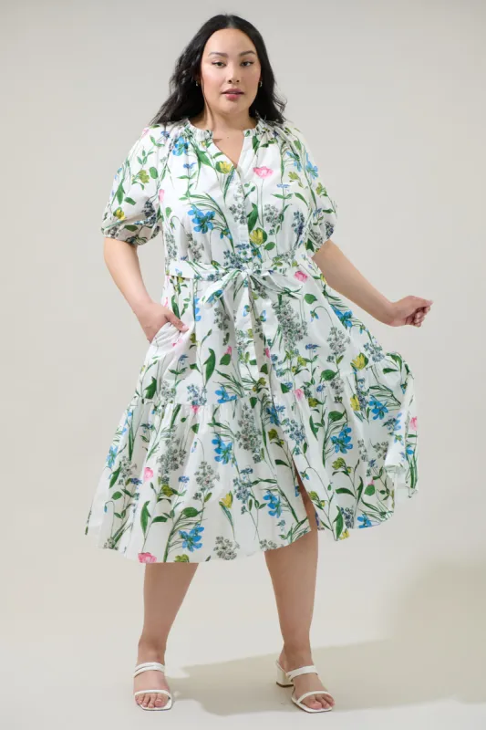 Clove Garden Floral Wynette Tiered Midi Dress Curve sold by Sugarlips