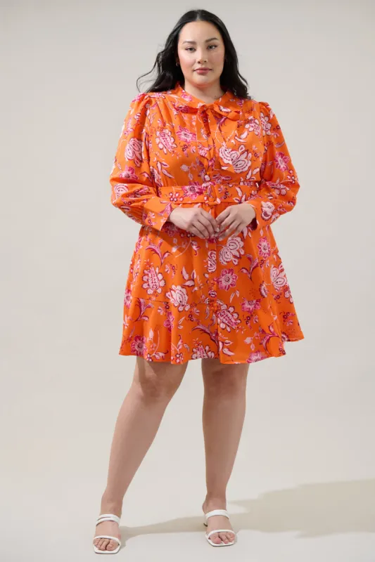 Cosmo Floral Flare Mini Dress Curve sold by Sugarlips