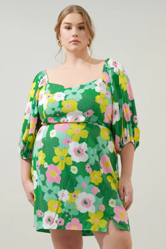 Wrenly Floral Avana Mini Sheath Dress Curve sold by Sugarlips