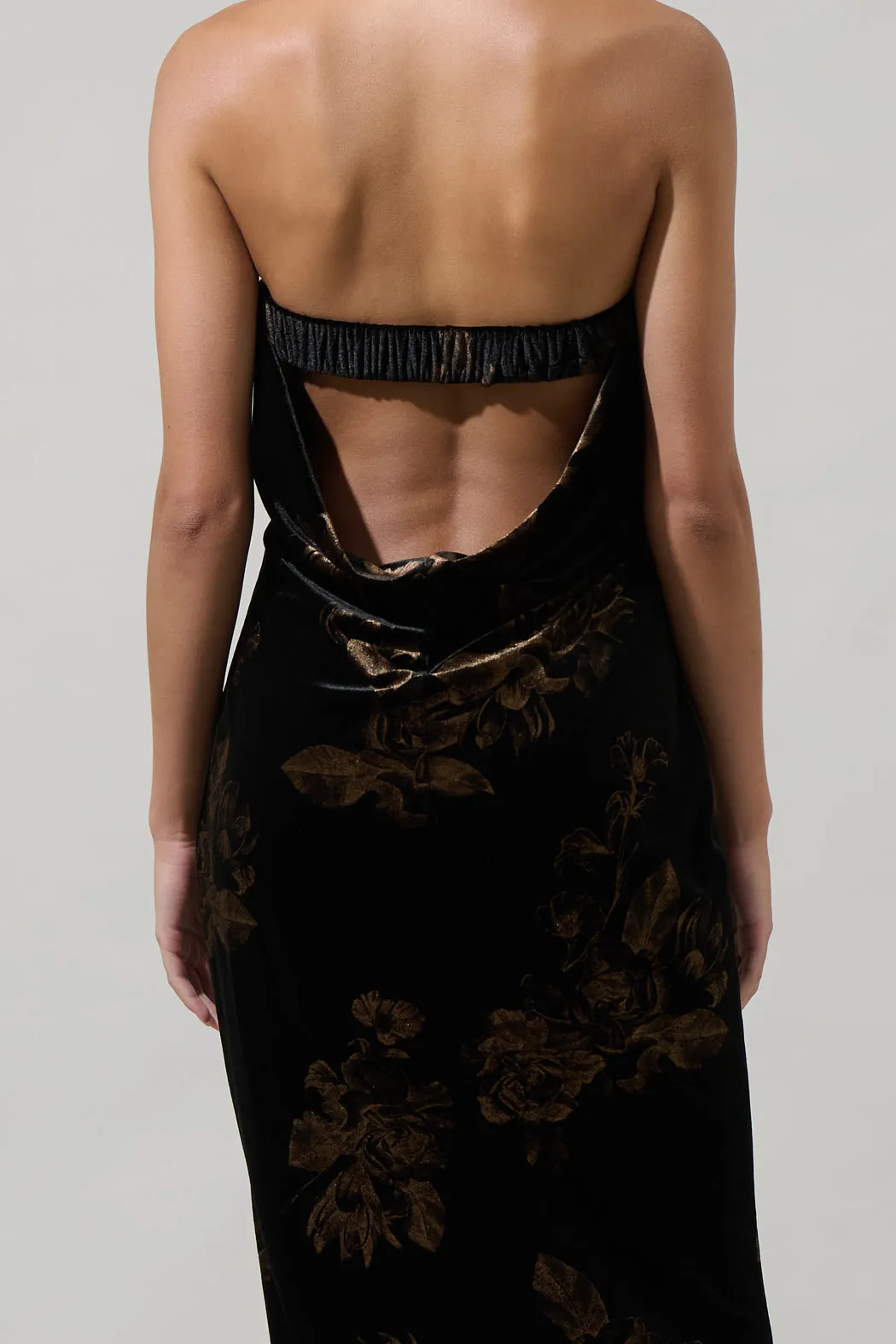 Ace Floral Dynamite Velvet Strapless Maxi Dress sold by Sugarlips product image thumbnail 5