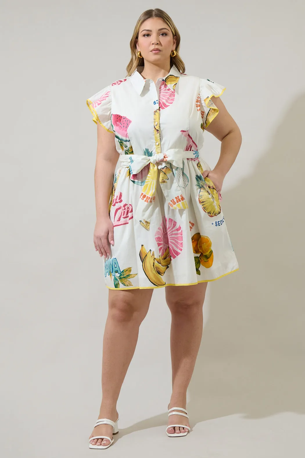 Zahra Island Maia Ruffle Collared Dress Curve sold by Sugarlips product image thumbnail 4