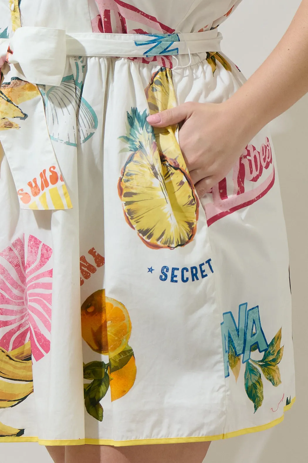 Zahra Island Maia Ruffle Collared Dress Curve sold by Sugarlips product image thumbnail 5