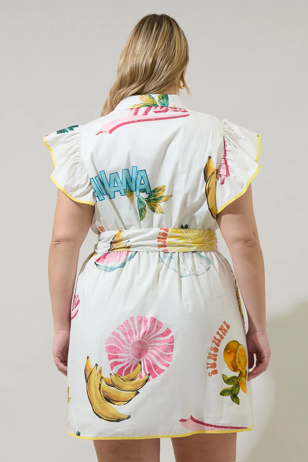 Zahra Island Maia Ruffle Collared Dress Curve sold by Sugarlips product image thumbnail 2