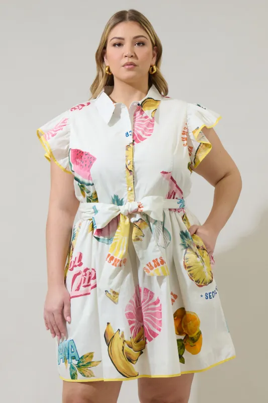 Zahra Island Maia Ruffle Collared Dress Curve sold by Sugarlips