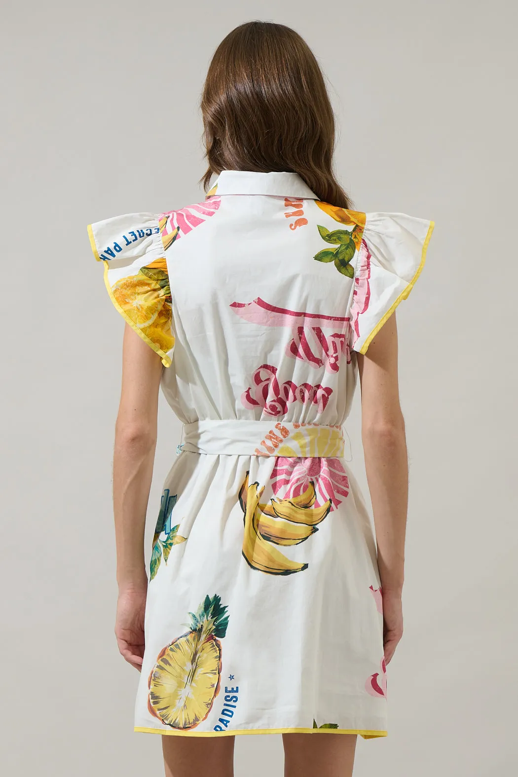 Zahra Island Maia Ruffle Collared Dress sold by Sugarlips product image thumbnail 2