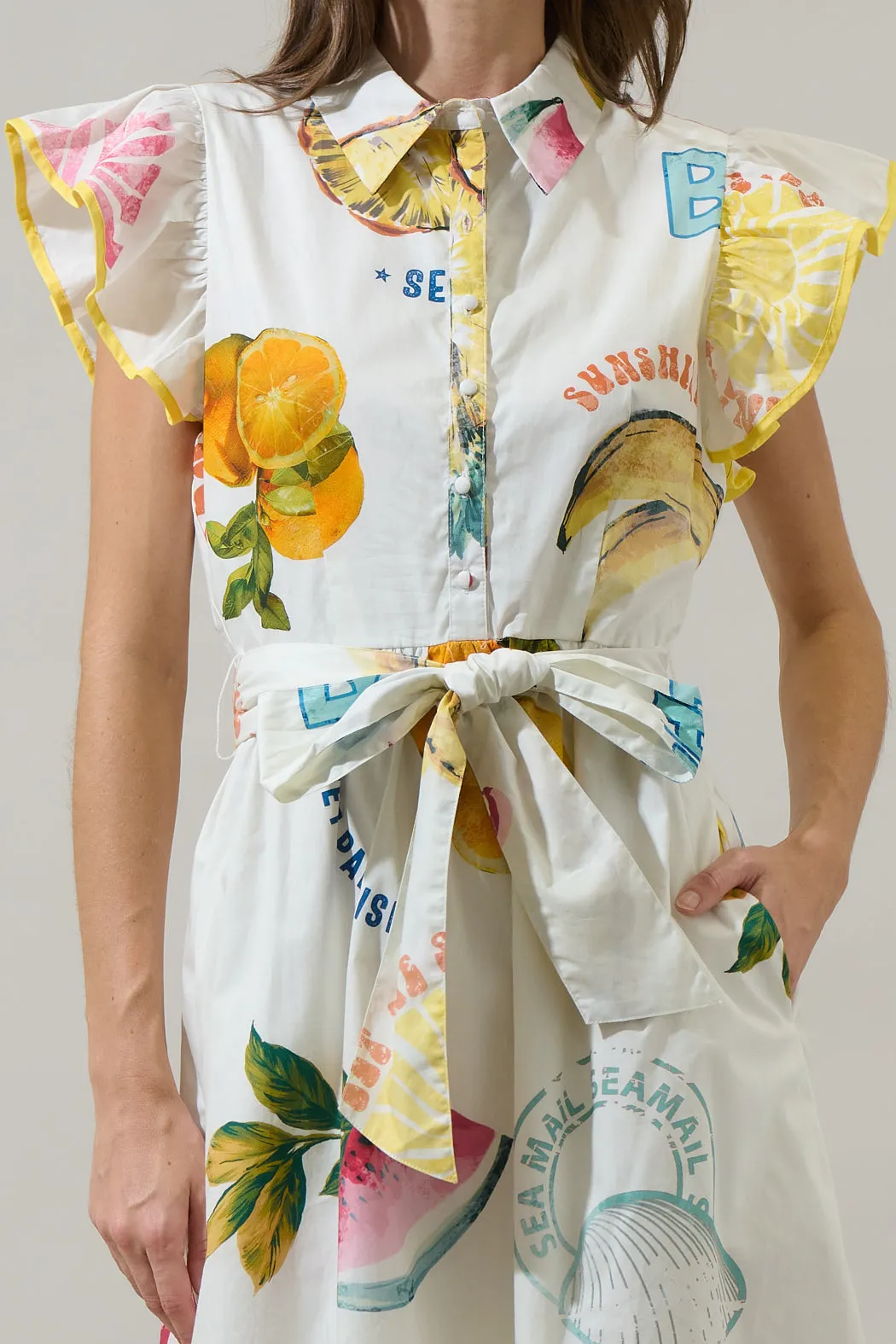 Zahra Island Maia Ruffle Collared Dress sold by Sugarlips product image thumbnail 5