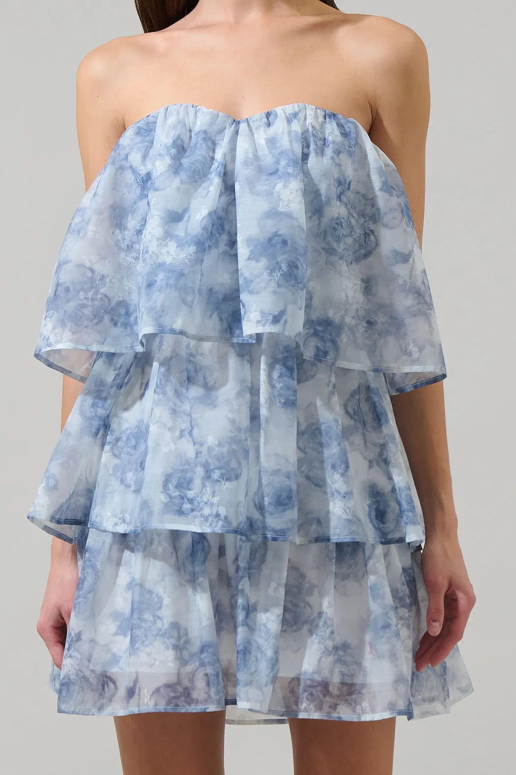 Denny Strapless Organza Dress sold by Sugarlips product image thumbnail 5