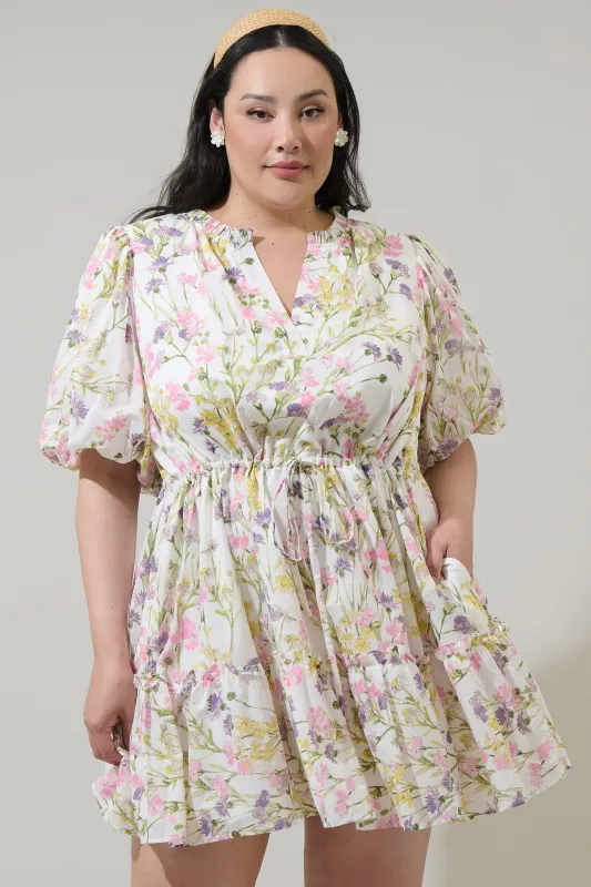 Lita Floral Noella Shift Mini Dress Curve sold by Sugarlips
