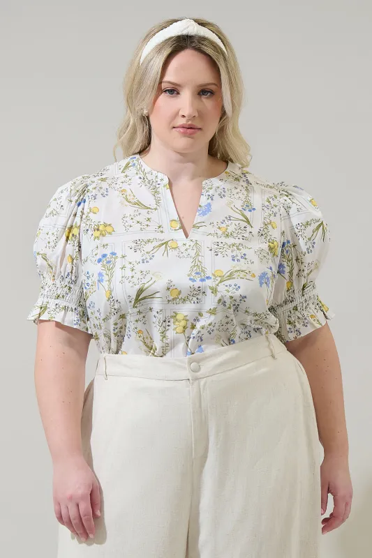 Cecily Floral Merryn Split Neck Top Curve sold by Sugarlips
