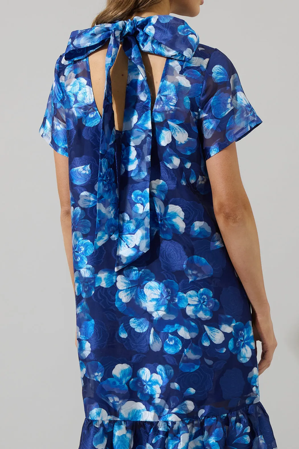 Abay Floral Dime Organza Maxi Dress sold by Sugarlips product image thumbnail 5