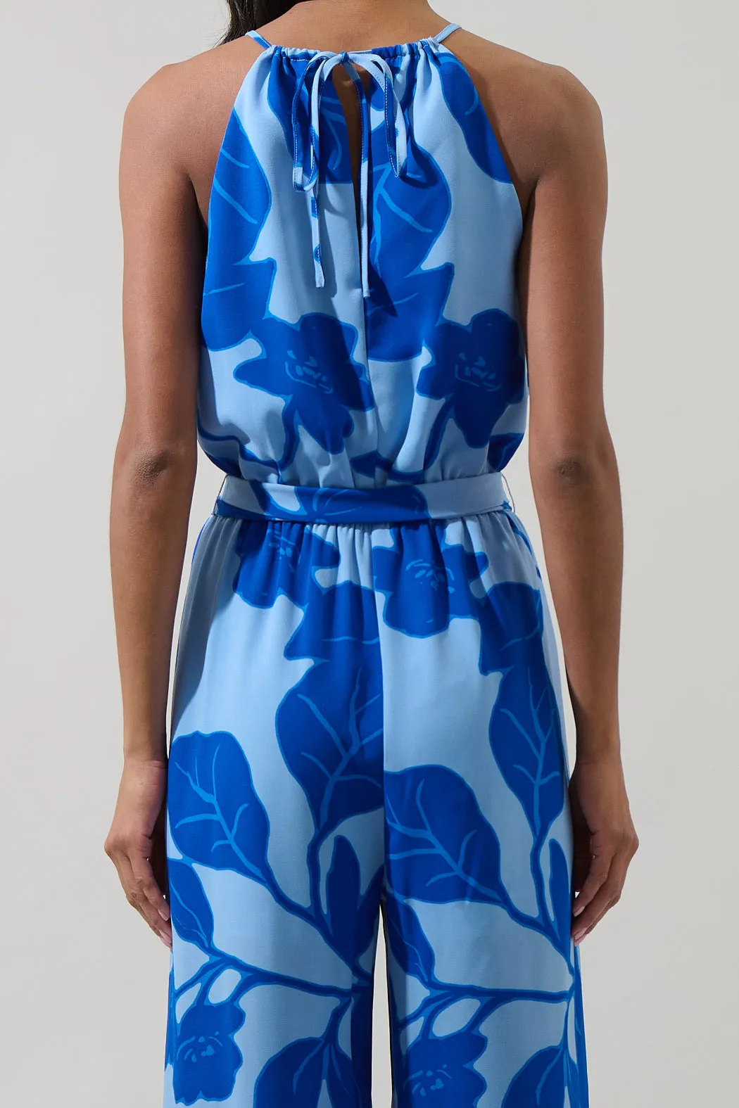Ariya Garden Lighthearted Trapeze Jumpsuit sold by Sugarlips product image thumbnail 4