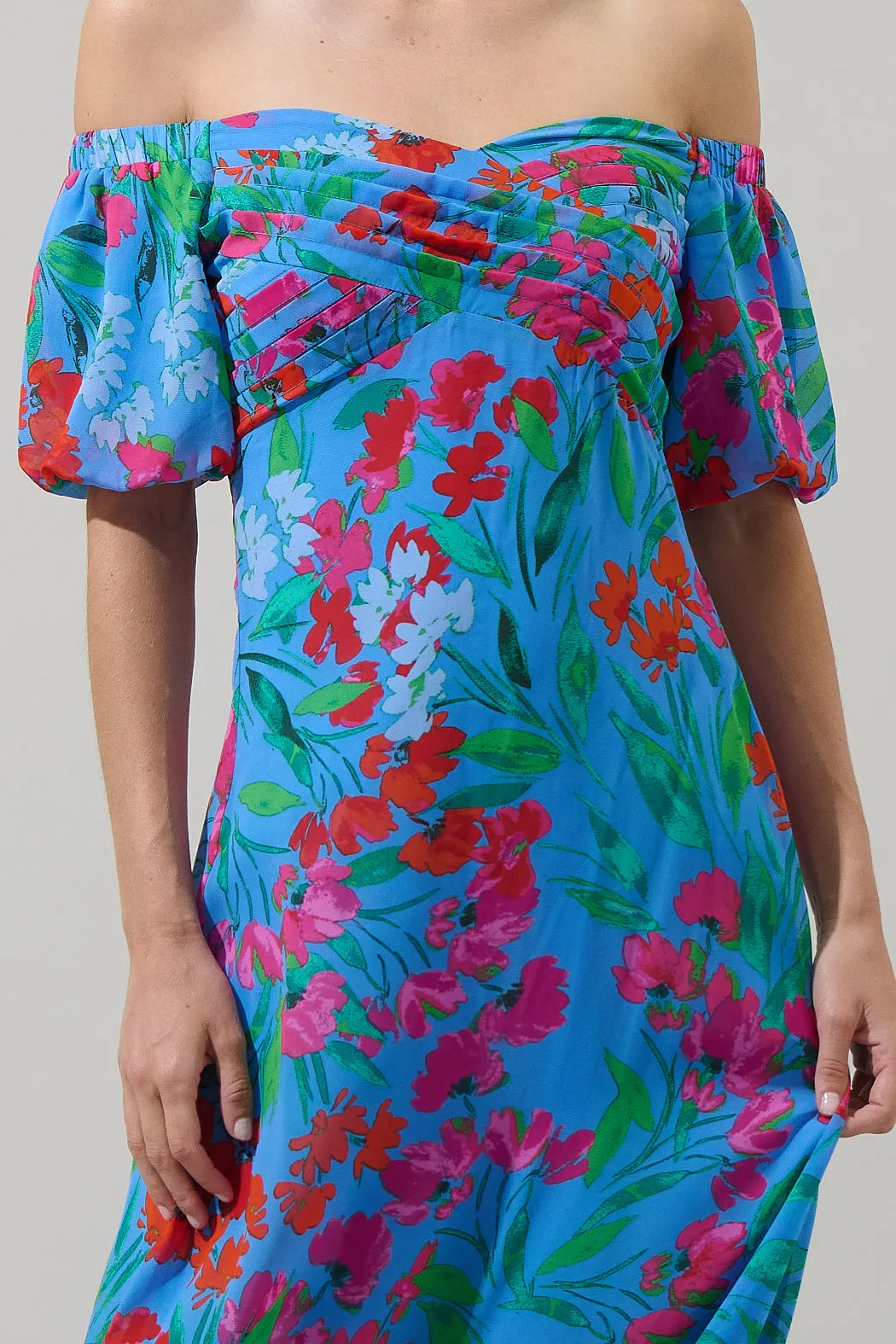 Finy Floral Dariana Pleated Maxi Dress sold by Sugarlips product image thumbnail 4