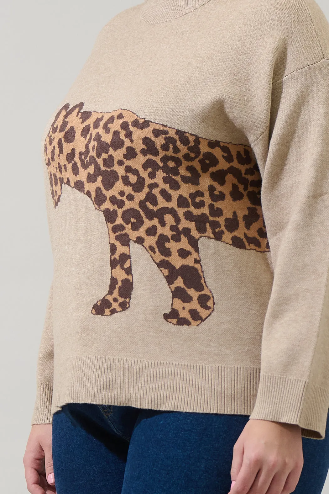 Jazara Leopard Knit Sweater Curve sold by Sugarlips product image thumbnail 5