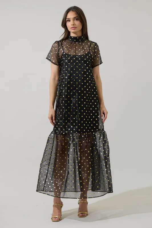 Ferris Polka Dot Dime Organza Mockneck Maxi Dress sold by Sugarlips