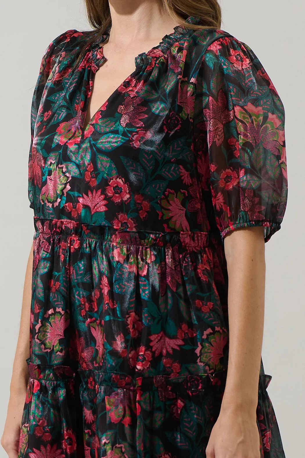 Briala Organza Islen Tiered Mini Dress sold by Sugarlips product image thumbnail 5